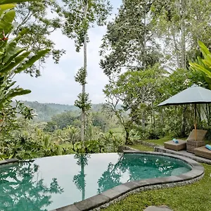 Anandari فيلة