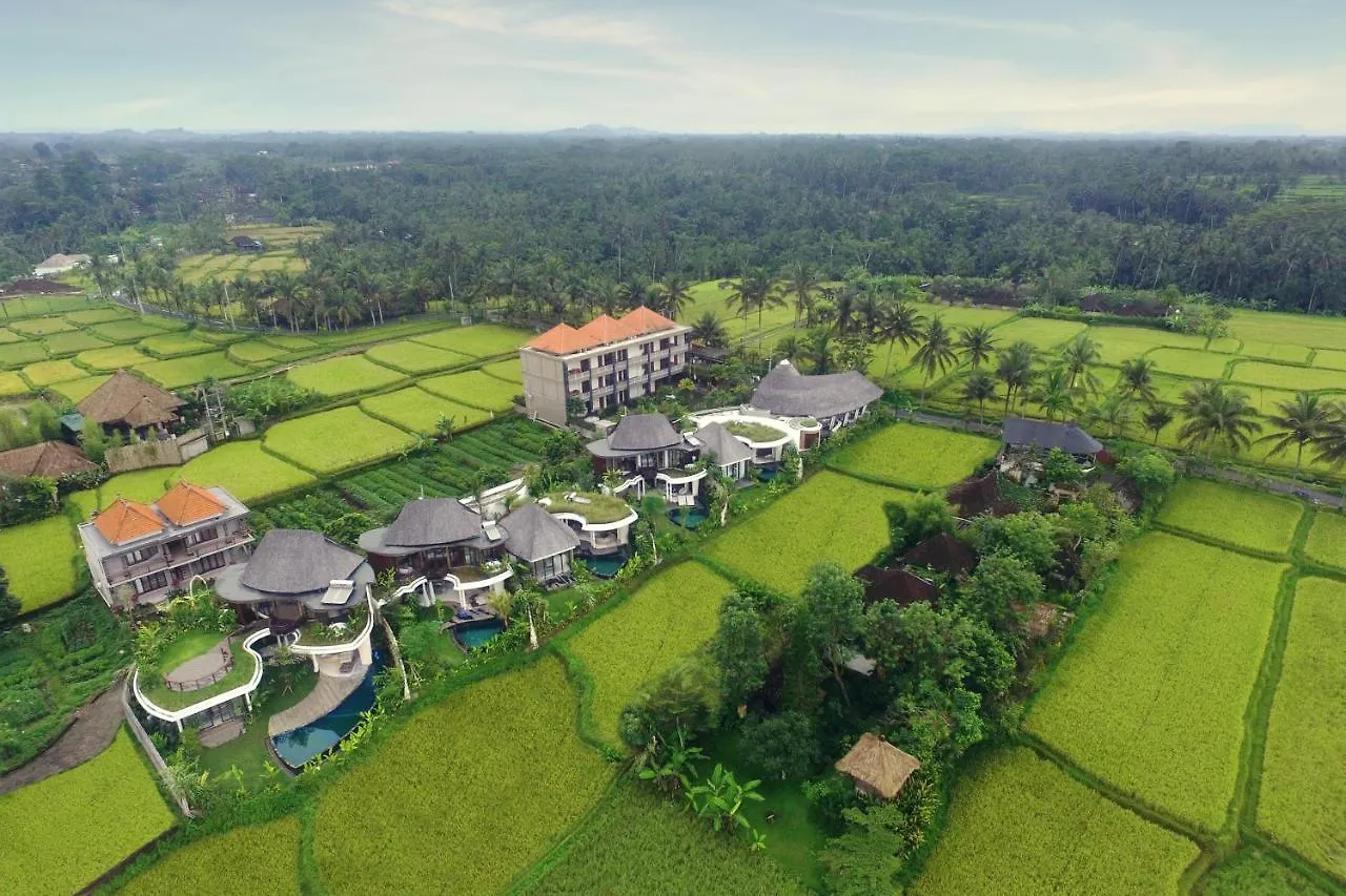 Mango Ubud 0*,